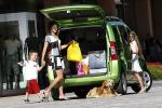 Fiat Fiorino Qubo 2008 года
